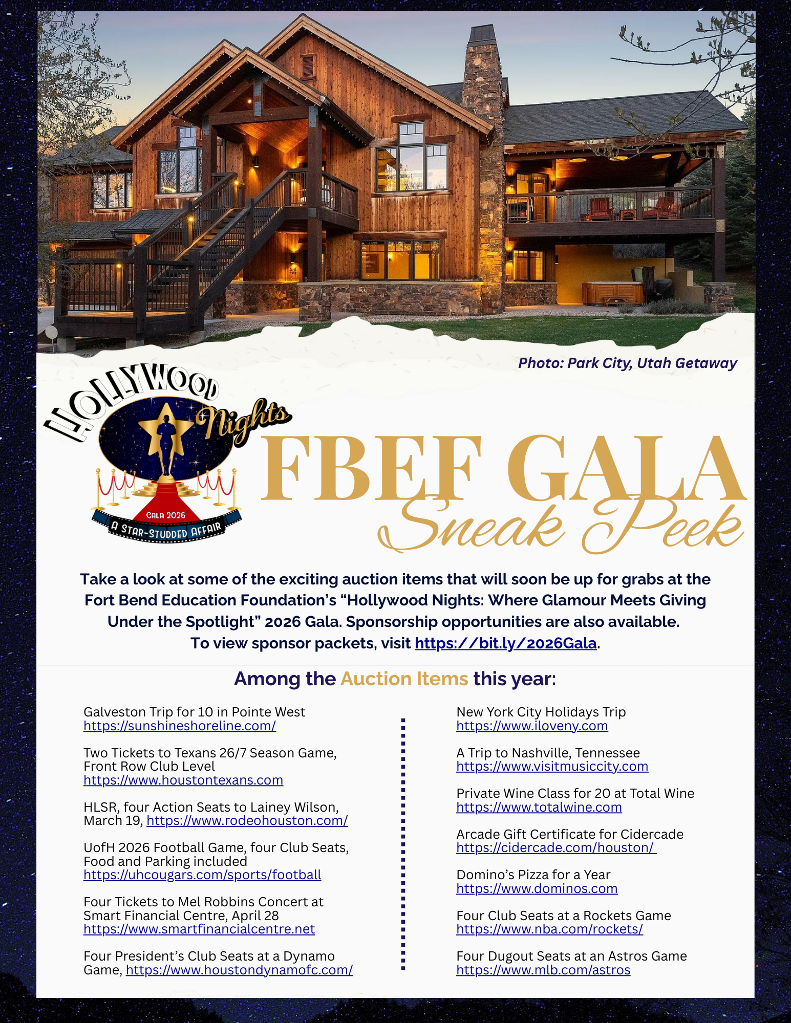 Gala Auction Sneak Peek 26